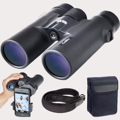 Roof prism Binoculars​