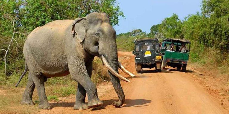 Bundala National Park