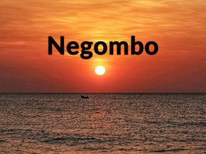 things to do in negombo Sri Lanka