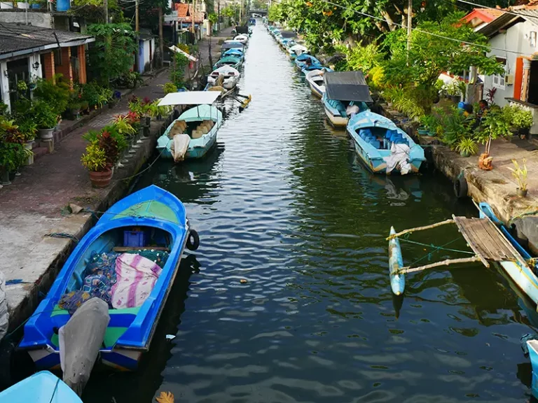 Hamilton Canals, Negombo