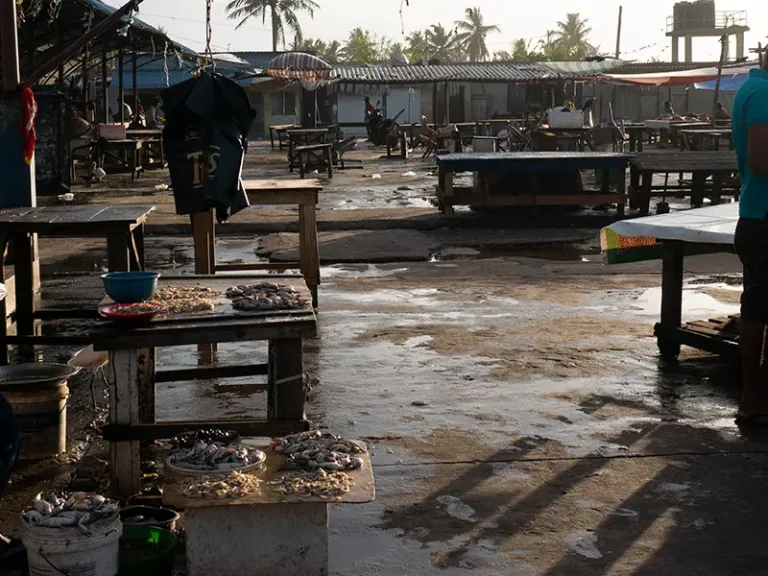 Fish Market, Negombo