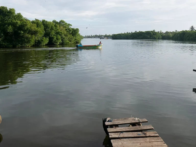 negombo lagoon