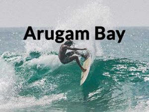 Things to do in Arugam Bay