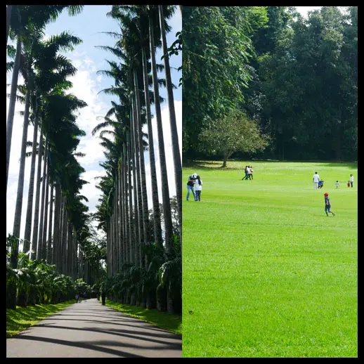 Peradeniya Botanical Gardens