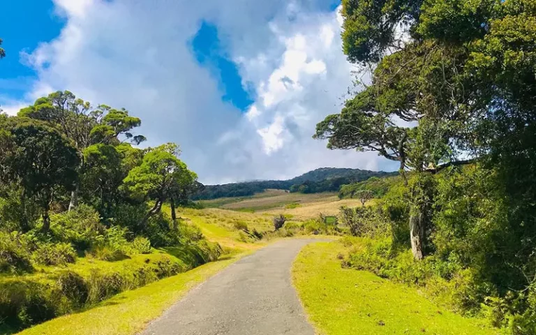 Horton Plains National Park