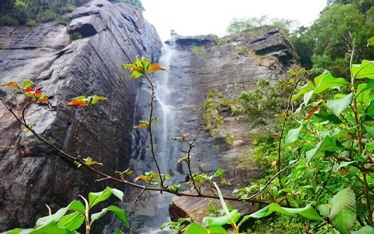 Lover's Leap Waterfall