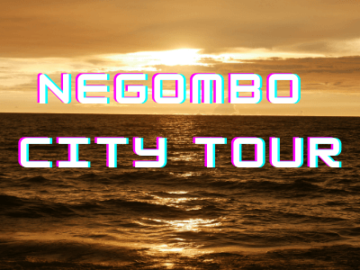 Read more about the article Negombo City Day Tour