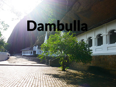 Read more about the article Things to Do in Dambulla