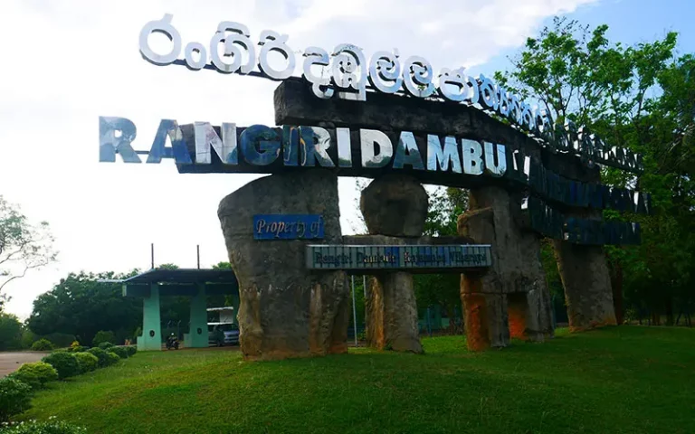 Rangiri Dambulla Cricket Stadium