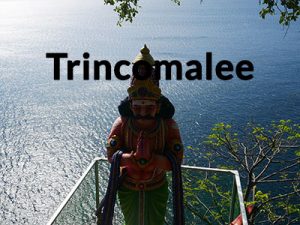 things to do in Trincomalee