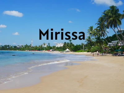 Read more about the article Things To Do In Mirissa