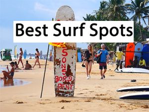 Best Surf Spots